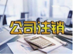 長沙望城區(qū)代辦營業(yè)執(zhí)照 公司注冊(cè) 代理記賬 變更注銷